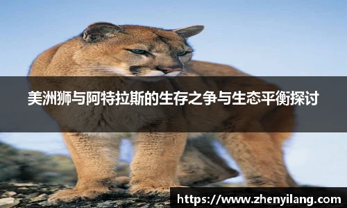 好博(中国)体育