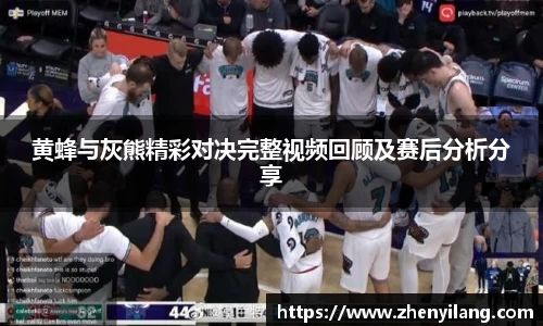 黄蜂与灰熊精彩对决完整视频回顾及赛后分析分享